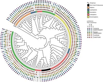 The Evolutionary History and Functional Divergence of Trehalase (treh) Genes in Insects